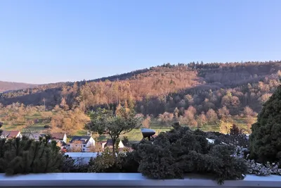 Eine Immobilie, wie Sie nur alle paar Jahre auf den Markt kommt. Landhaus und Terrassenhaus zugleich – Bild 4